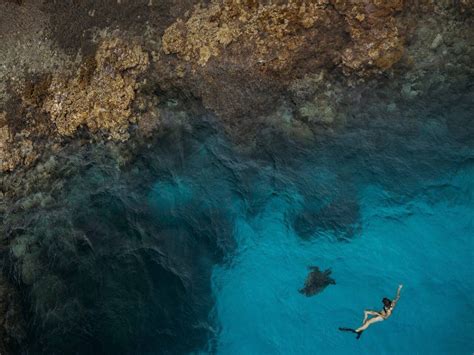 Discover The Great Barrier Reefs Underwater Museum Travel Insider