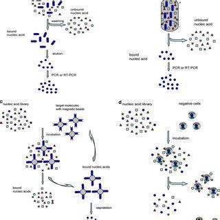 The processes of traditional SELEX, CE-SELEX, magnetic bead-based ...