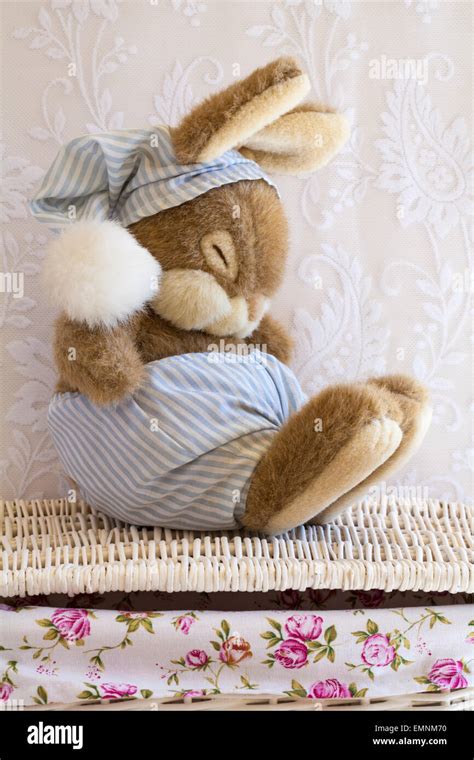 Sleeping Easter Bunny Rabbit Soft Cuddly Toy Sitting On Wicker Basket