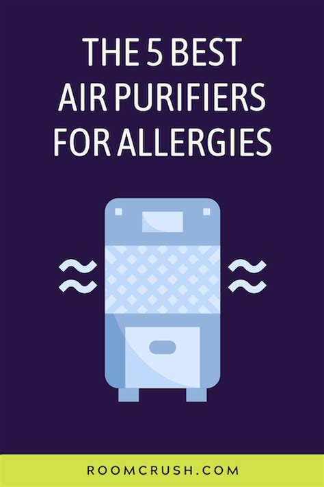 The 5 Best Air Purifiers For Allergies (Pet Hair, Odors, And Dander)