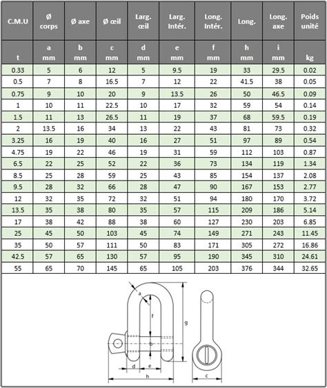 Manille Droite Standard Axe Viss G Manut Access