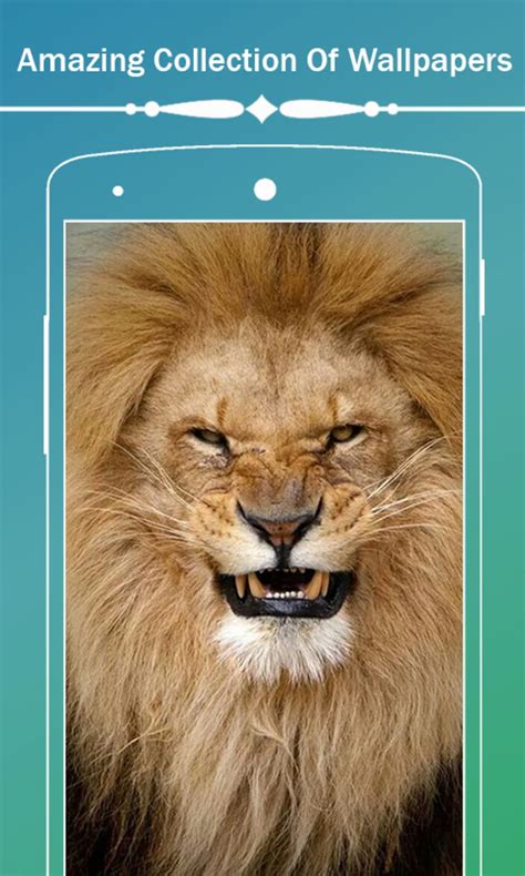 Android Için Lion Hd Wallpapers Apk İndir