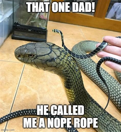 Nope rope : r/memes