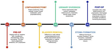 Evidence-Based Analysis of the Critical Steps of Radical Cystectomy for