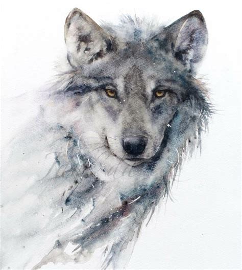 Grey Wolf Blue Eyes Poster By Syanart Displate Artofit