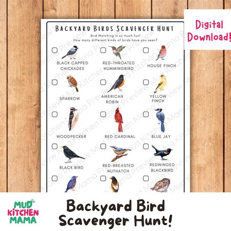 Bird Scavenger Hunt for Kids, Outdoor Activity and Nature Study for