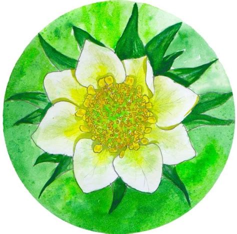 Квітка полуниці намальована аквареллю | Napkins, Tableware