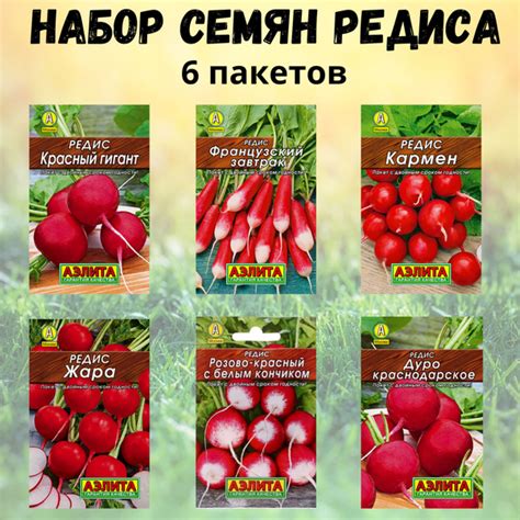 Томаты, Огурцы Агрофирма Аэлита Баклажан Патио-малыш_1_красный_белый ...
