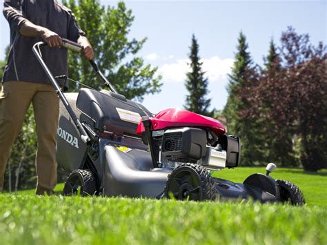 Gas Lawn Mowers At Atelier Yuwa Ciao Jp