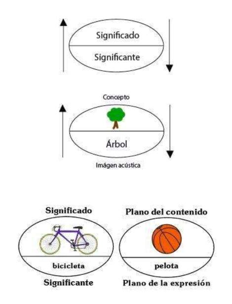 Esquema De Tipos De Signos