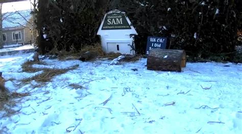 Keep your parkas handy. Shubenacadie Sam predicts long winter | CBC News