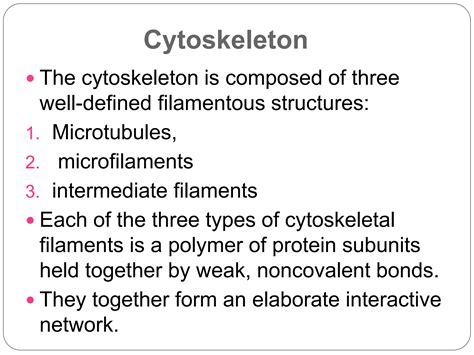 Cytoskeleton Microtubules Microfilaments Intermediate Filaments Ppt