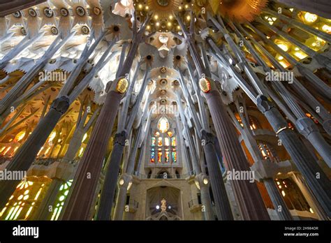 Techo basilica sagrada familia fotografías e imágenes de alta