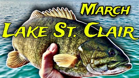 Lake St Clair Smallmouth Bass Fishing Report March 2024 Youtube