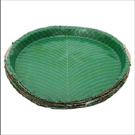 Eco Friendly 10 Inch Size Round Shape Plain Disposable Paper Plate Load