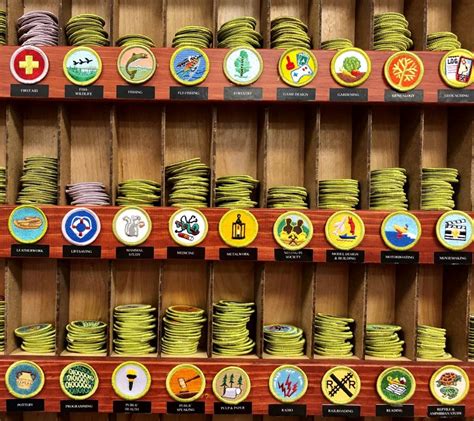 2020 Merit Badge Ranking List Rewritten By The Pandemic Signs Up