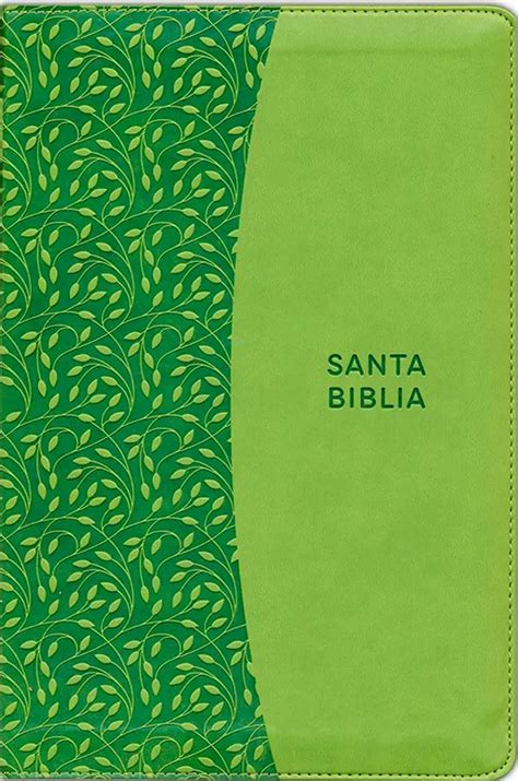 Biblia Rvr Letra Grande Imitaci N Piel Verde Librer A En Medell N