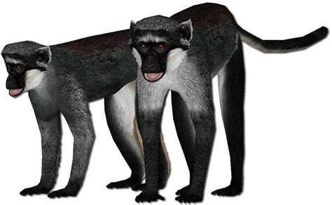 ZT2: Dryas Monkey Render (PU) by GrandeChartreuse on DeviantArt