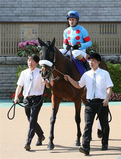 GⅠ安田記念 アーモンドアイ「8冠」ならず グランアレグリアに破れる 写真特集18 毎日新聞