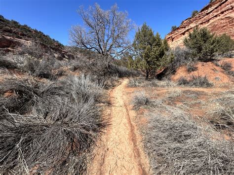 Hiking The Moqui Sand Caves Trail In Kanab Utah Noahawaii