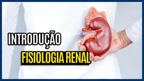 Como O Rim Filtra O Sangue Introdu O A Fisiologia Renal Youtube