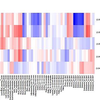 Spatio Temporal Ossat Gene Expression Of Various Tissues Organs