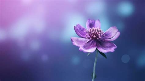 Desktop Wallpaper Flower Stock Photos, Images and Backgrounds for Free ...