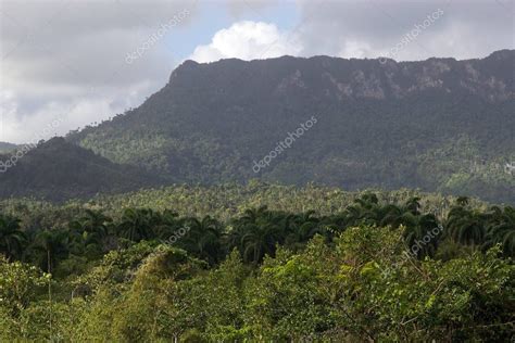 Paisaje Del Parque Nacional El Yunque Provincia De Guant Namo Baracoa