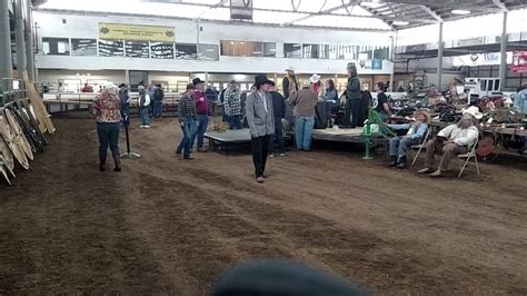 Auction At The Yamhill County Fairgrounds Youtube