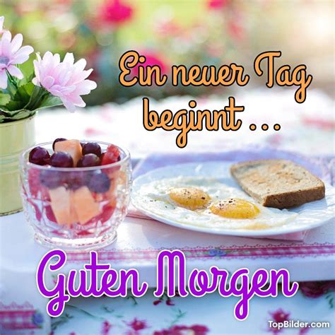 Guten Morgen Bilder Und Grußkarten Top Bilder