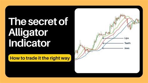 Explained How To Trade Forex With Alligator Indicator Strategy By