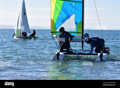 Crew of youngsters getting their racing sailing catamaran ready on ...