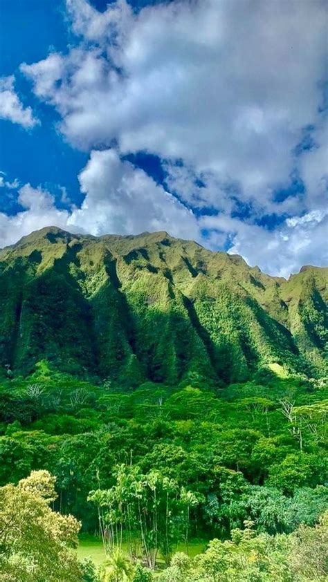 Hawaii Mountains 🌺🏔️ Hawaii Mountains Hawaii Honeymoon Hawaii Landscape