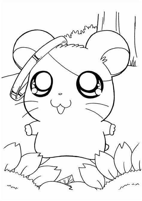 Hamster coloring pages to download and print for free