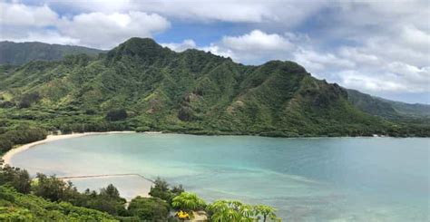 Oahu Manoa Falls Hike And Tour GetYourGuide