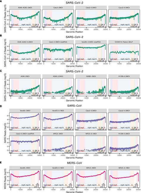 Frontiers Comprehensive Comparison Of RNA Seq Data Of SARS CoV 2