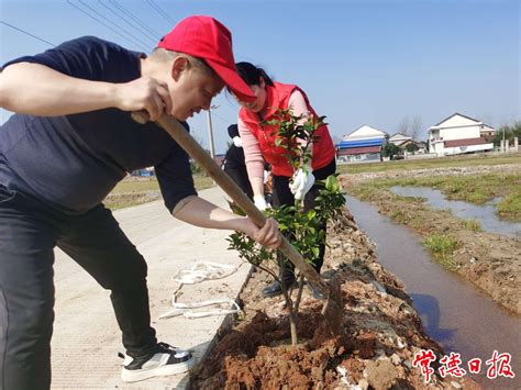 常德市七中党员教师和志愿者入农户庭院植树添绿