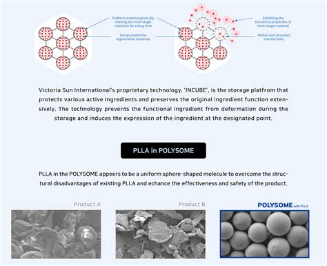 Polysome With Plla Buy Online Skin Reboot