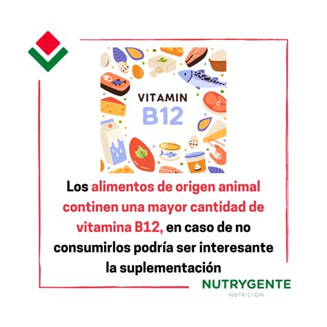 Vitamina B Qu Es Funciones Alimentos Y Suplementaci N Nutrygente