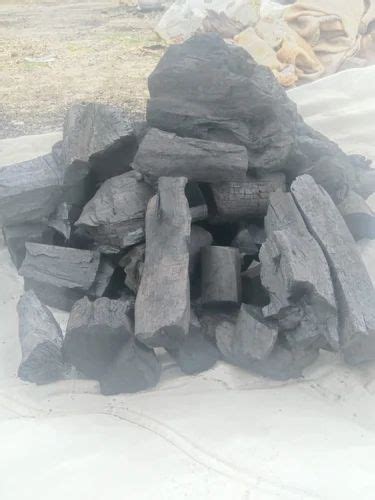 Solid Black Wood Charcoal Lumps For Burning At Rs 24kg In Bhilwara