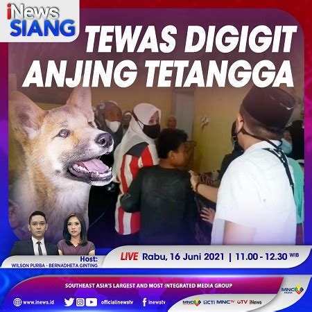 Tewas Digigit Anjing Tetangga Saksikan Selengkapnya Di INews Siang