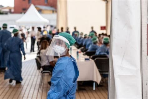 Virus Nipah Podr A Convertirse En Pandemia La Sociedad Venezolana De