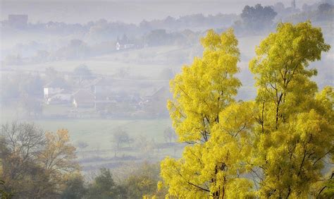 velike pcelice selo sa tri manastira foto infokg gradski portal