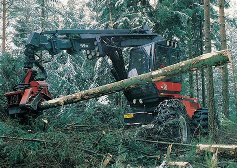 Skogbruk I Norge Store Norske Leksikon