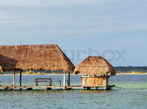 palapa stock image colourbox