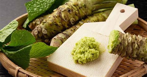 How To Plant And Grow Wasabi Gardeners Path