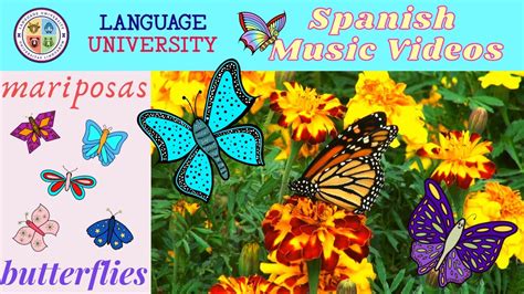 Butterflies Mariposas Spanish Music Video Youtube