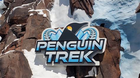 Seaworld Orlandos Penguin Trek Coaster Offers New Thrills For Families