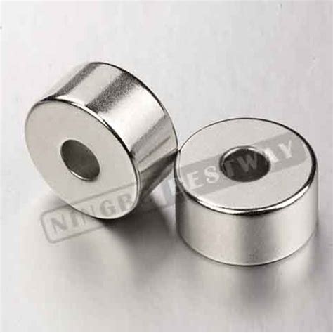 Radial Oriented Ring Sintered Neodymium Rare Earth Permanent N N