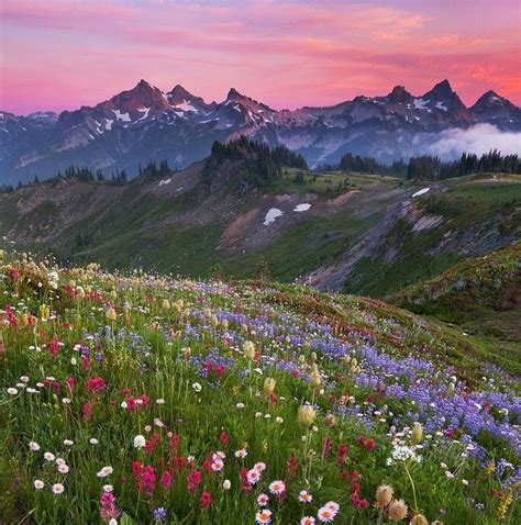Pin by Ірина Тарасюк on kartinki | Beautiful nature, Nature photography ...